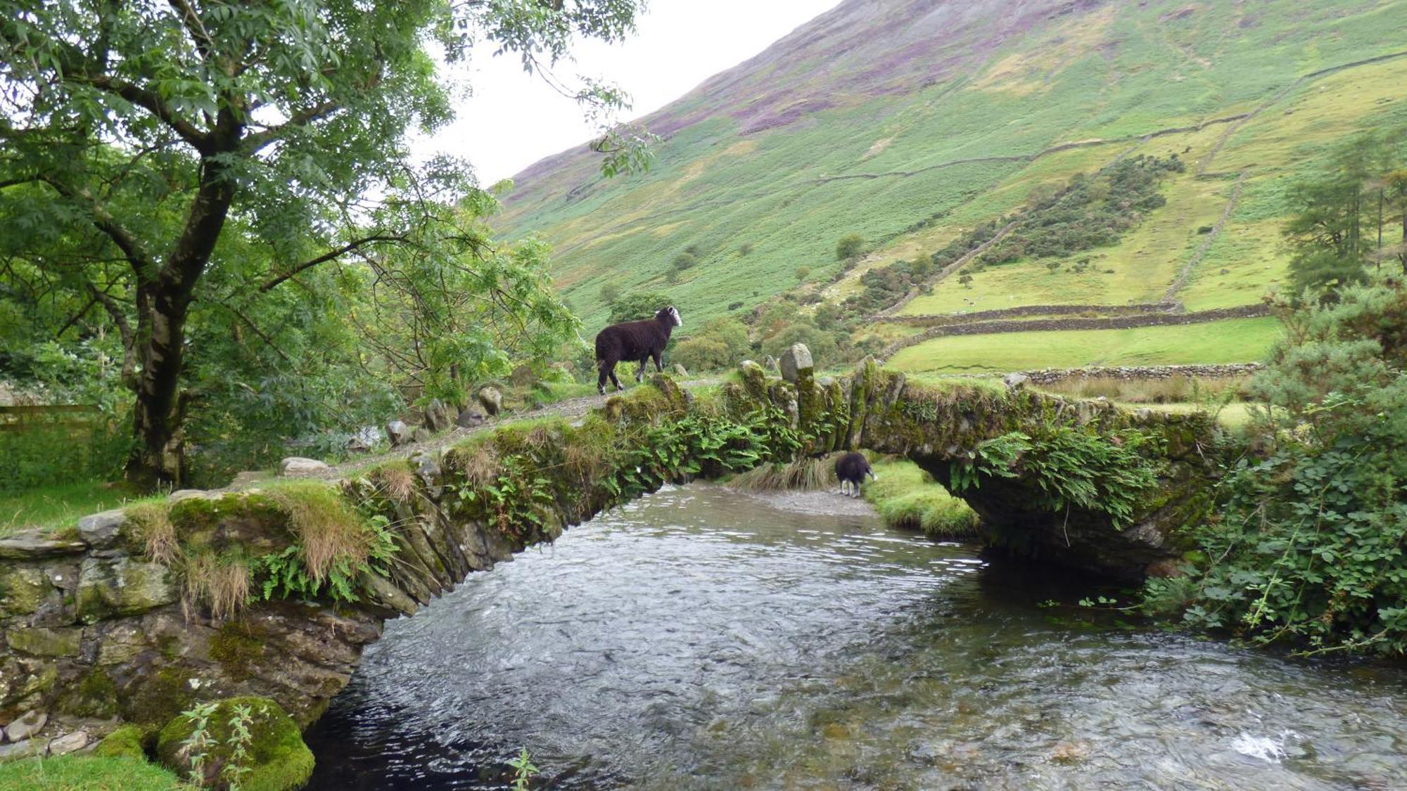 Renovated 5 Bedroom Farmhouse In Picturesque Eskdale, Lake District Esterno foto