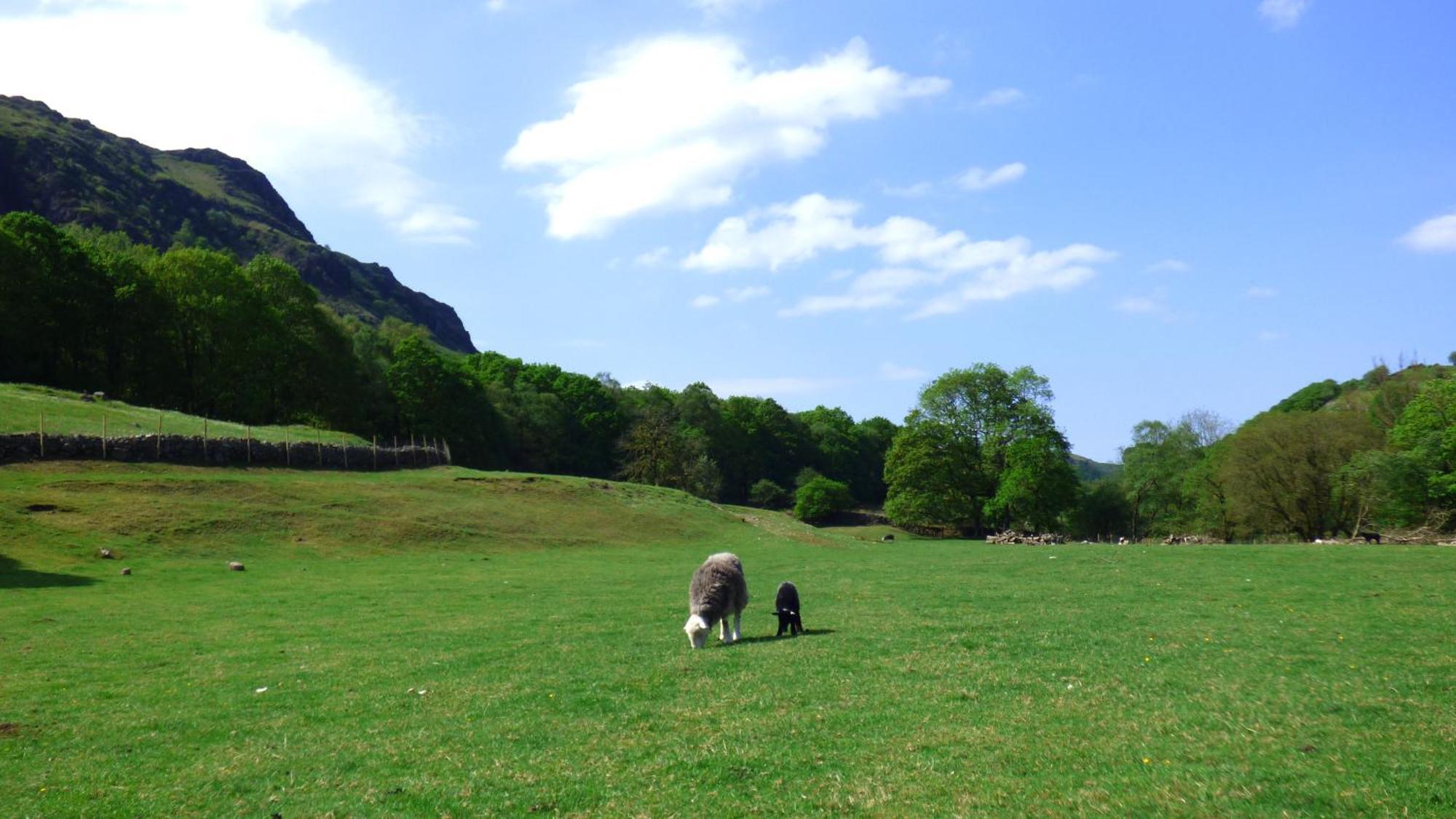 Renovated 5 Bedroom Farmhouse In Picturesque Eskdale, Lake District Esterno foto