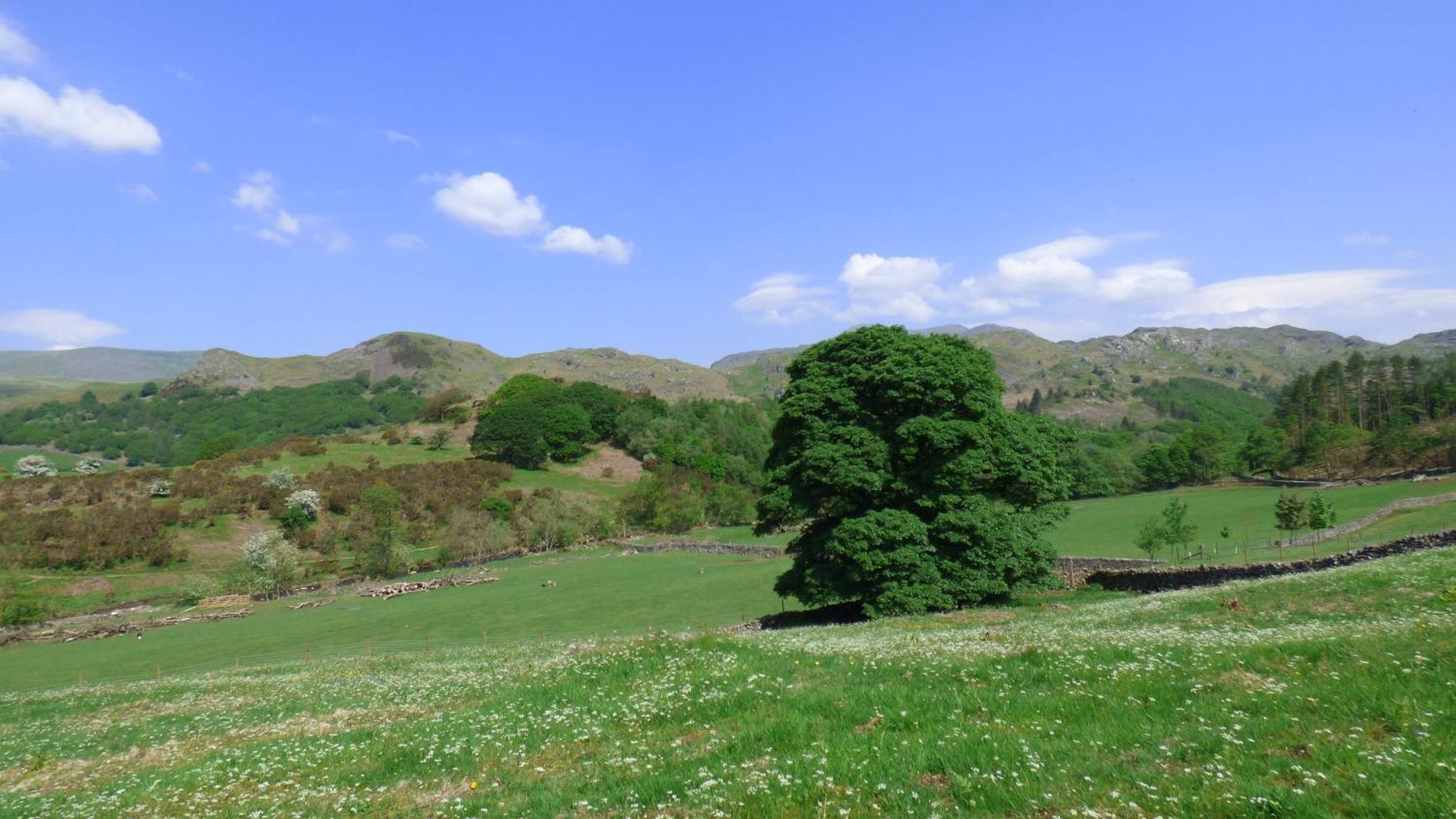Renovated 5 Bedroom Farmhouse In Picturesque Eskdale, Lake District Esterno foto